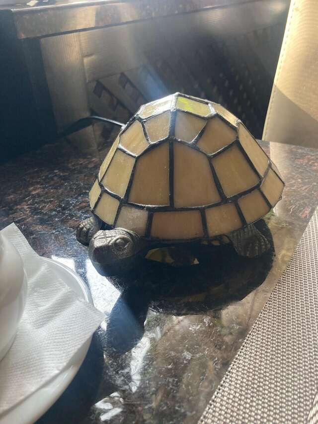 Гостиница Черепаха Калининград-112