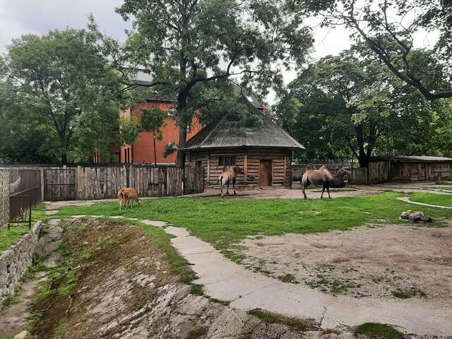 Гостиница Черепаха Калининград-118