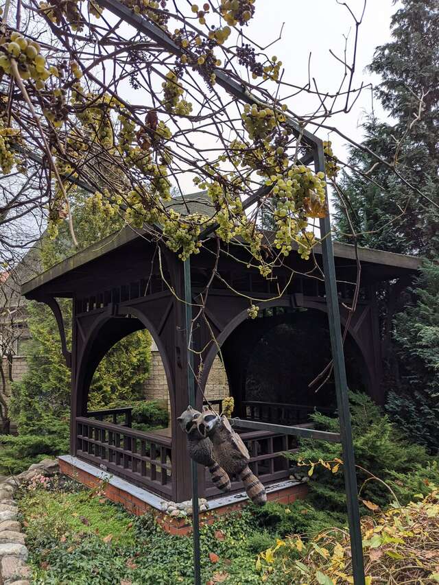 Гостиница Черепаха Калининград-129