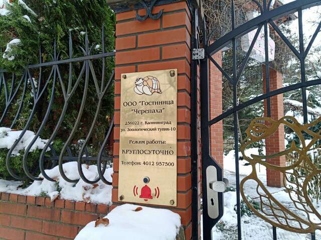 Гостиница Черепаха Калининград-43