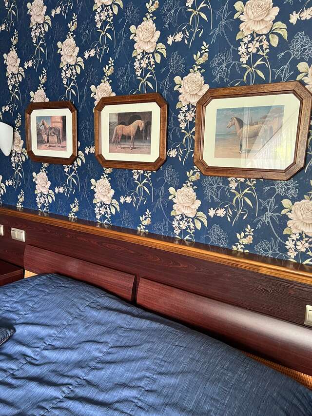 Гостиница Черепаха Калининград-138