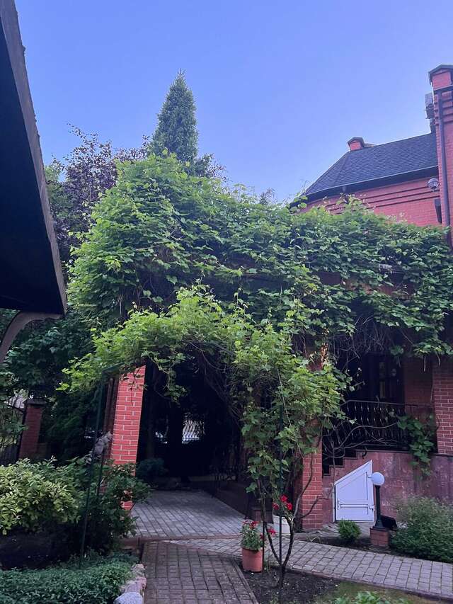 Гостиница Черепаха Калининград-203