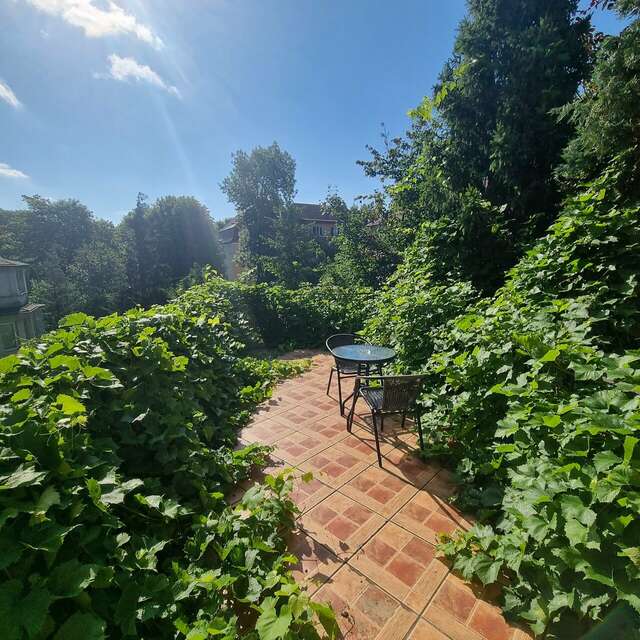 Гостиница Черепаха Калининград-137