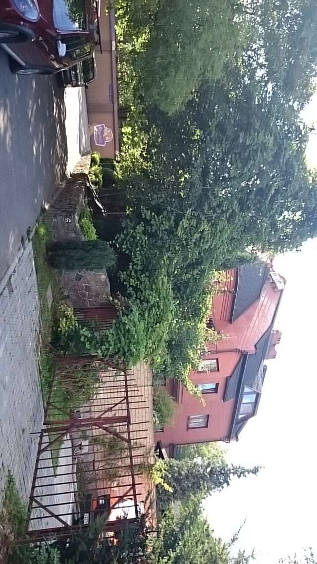 Гостиница Черепаха Калининград-36