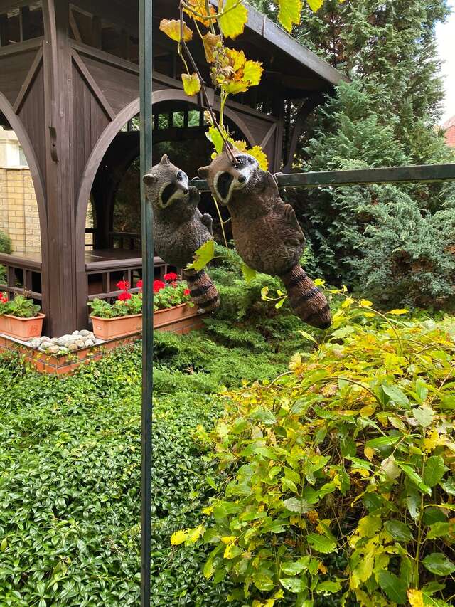 Гостиница Черепаха Калининград-157