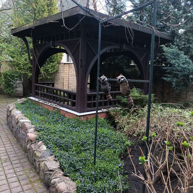 Гостиница Черепаха Калининград-144