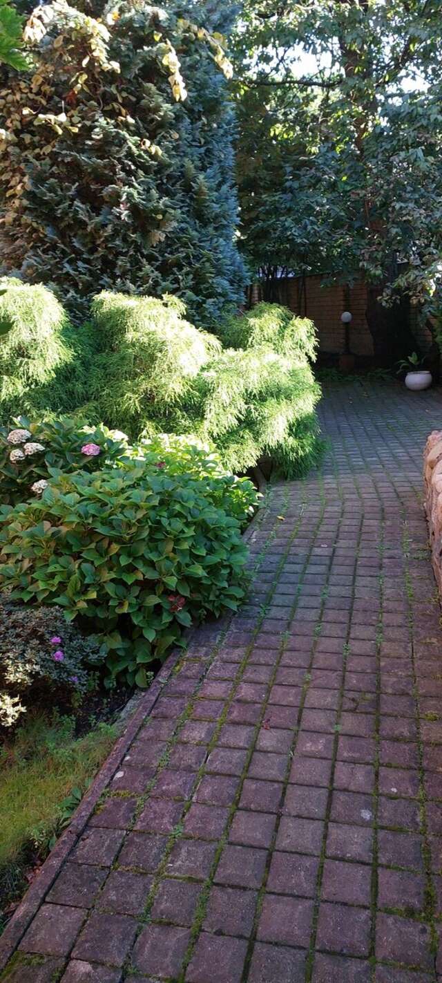 Гостиница Черепаха Калининград-166