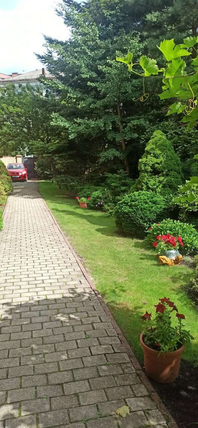 Гостиница Черепаха Калининград-224