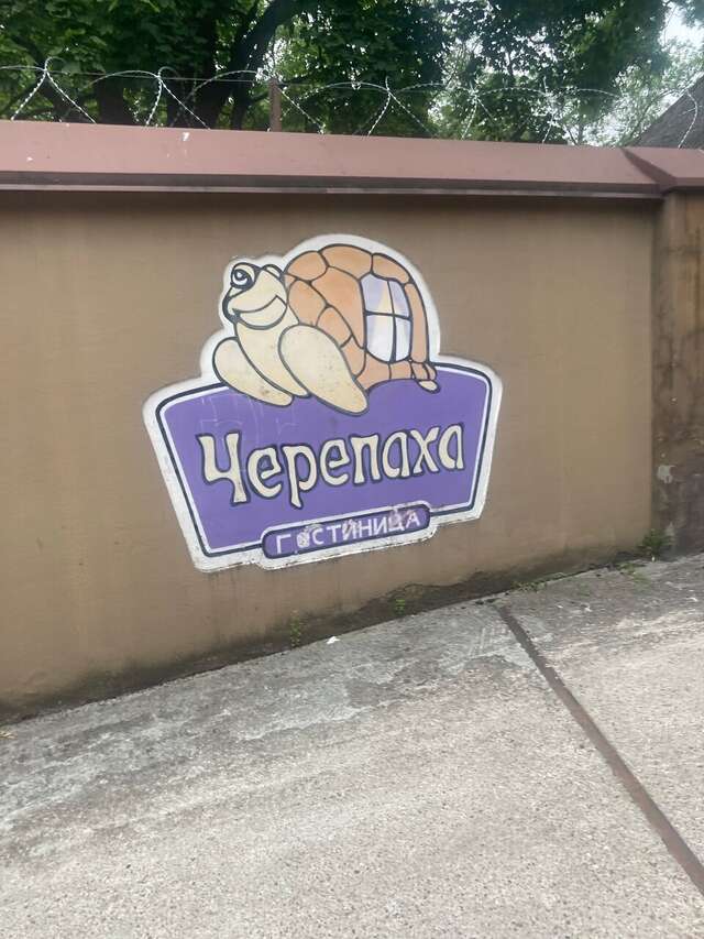 Гостиница Черепаха Калининград-119