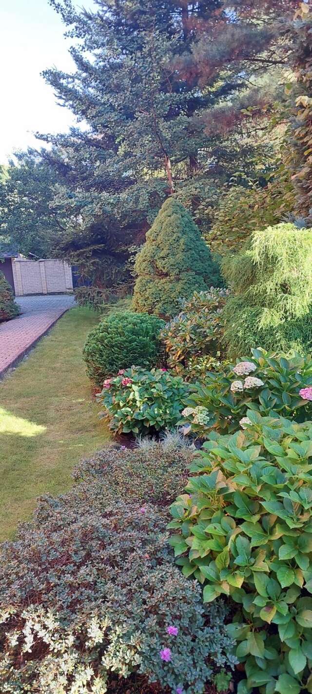 Гостиница Черепаха Калининград-190